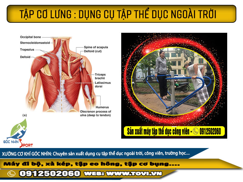 Tập cơ lưng - bằng xà kép